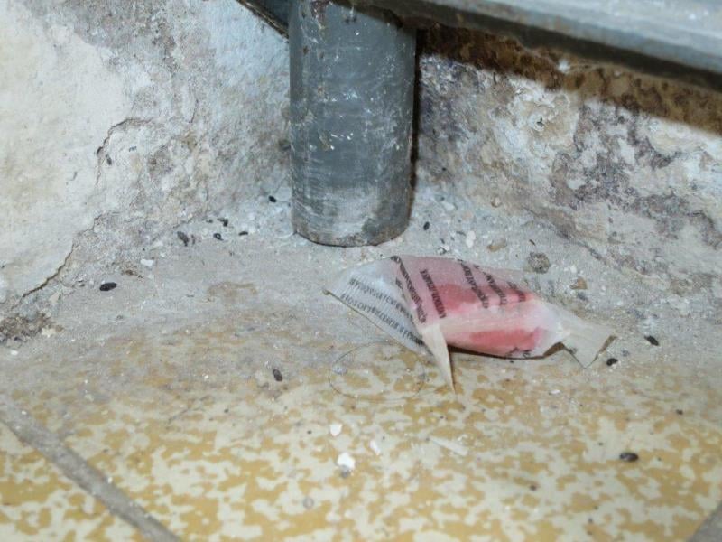 Hung Nguyen Minh, Opočno -  Výskyt myšího trusu, provozovna nezabezpečená před pronikáním škůdců, nezajištění odvozu potravinářského odpadu, nečistoty na podlaze, nečistoty na regálech či zařízeních