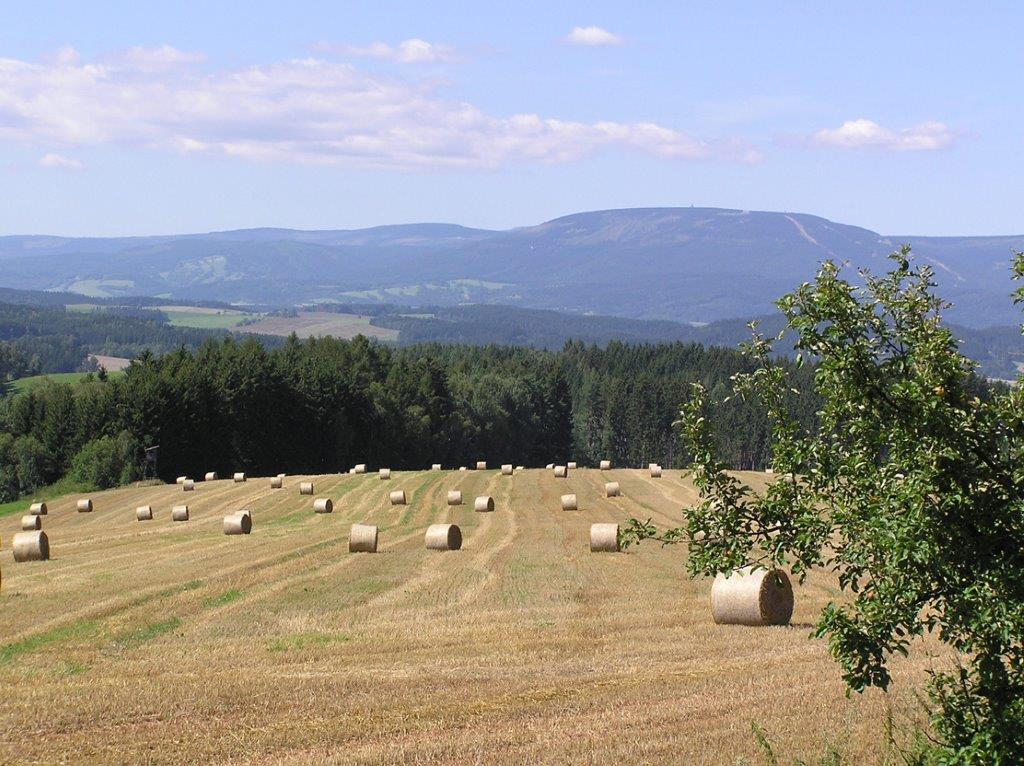 Jiří Hlavatý by rád vrátil podnikatele na vrchol společnosti.
