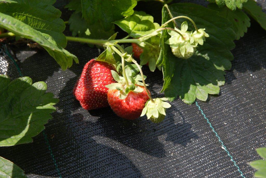 Jiří Hlavatý by rád vrátil podnikatele na vrchol společnosti.