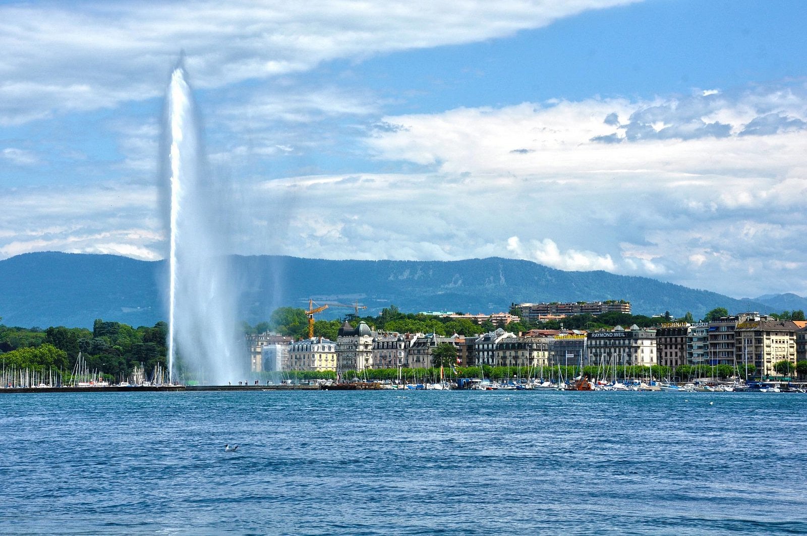 2022-07-geneva-670479_1920-1.jpg