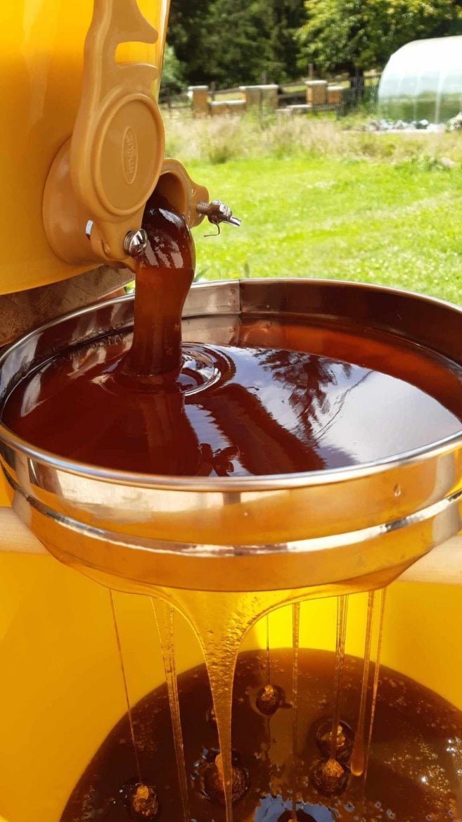 Stáčení medu na LazyFarm