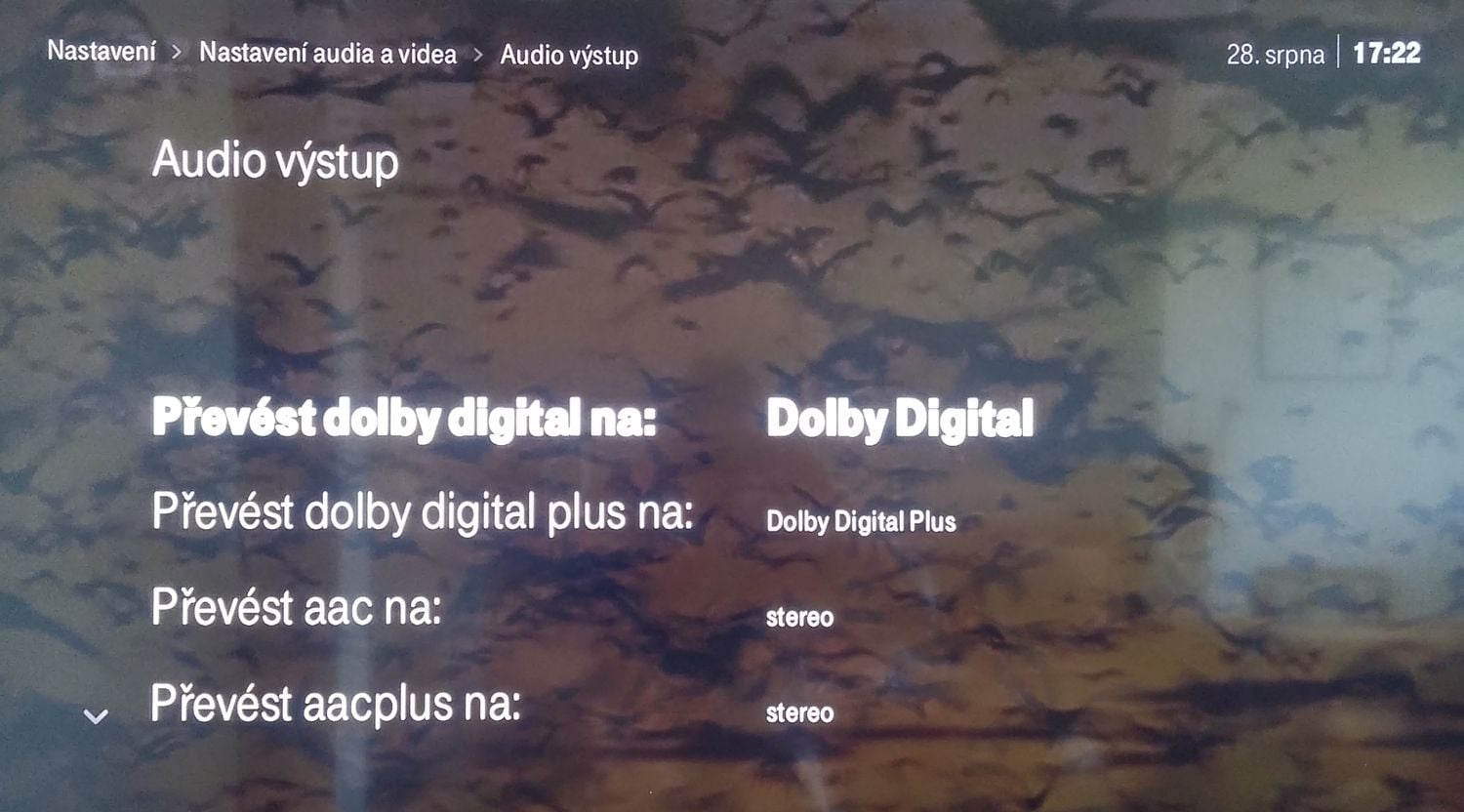 T-Mobile TV - Menu - audio a video