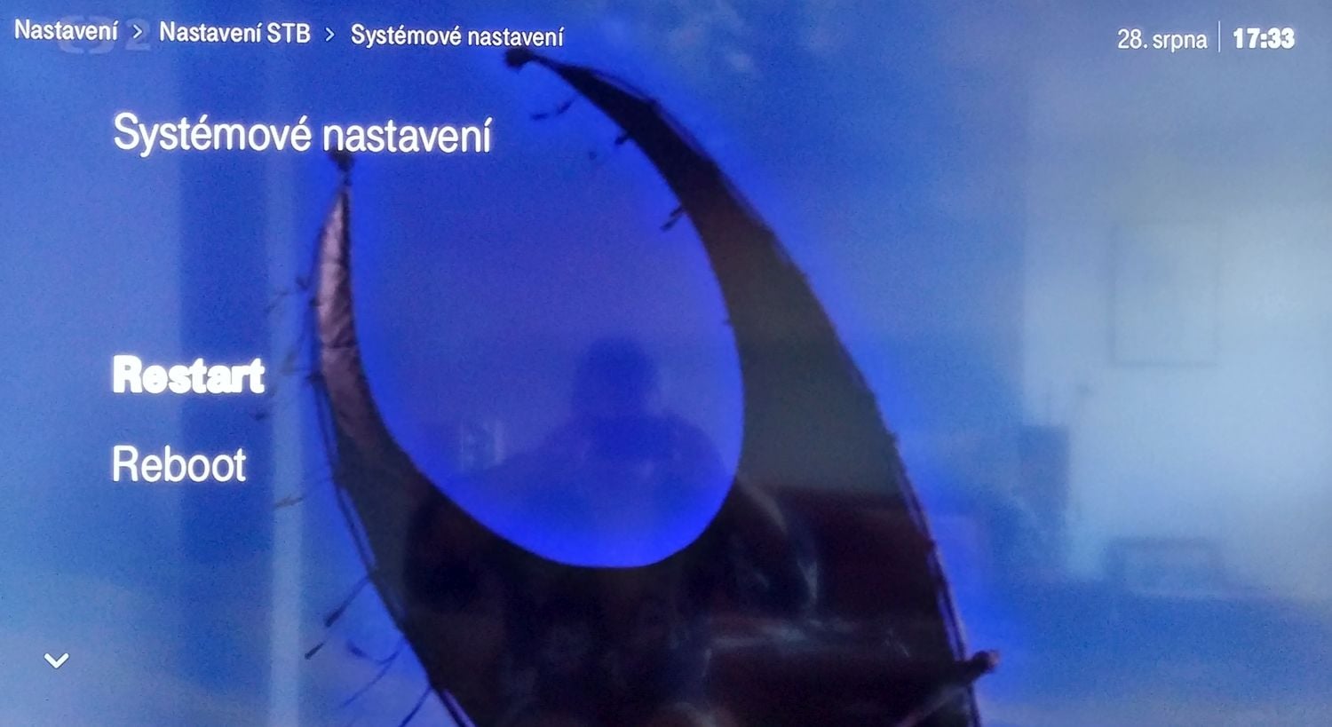 T-Mobile TV - Menu - audio a video