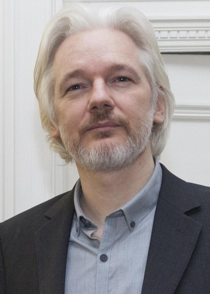 2010-03-assange-c48dtkarchiv-2.jpg