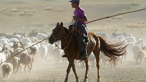 Náhledový obrázek - Ivana Grollová: Mongolsko už nespí