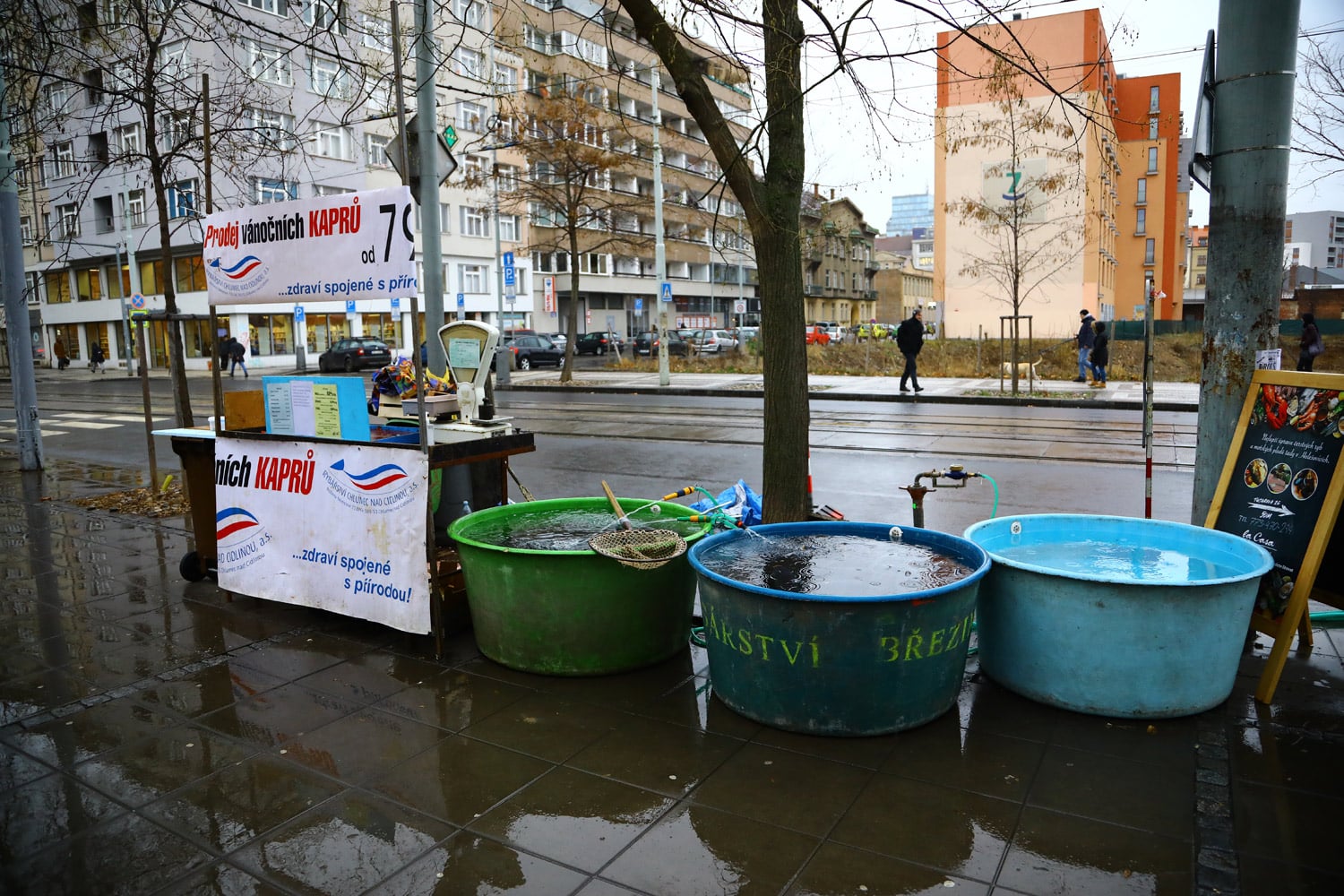 Prodej kaprů 2018