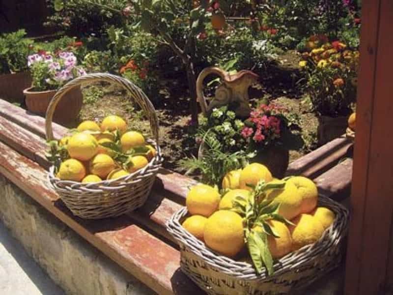 2016-12-krc3a9ta-na-slunci-chutnc3a1-nejlc3a9pe-ve-stc3adnu-4.jp