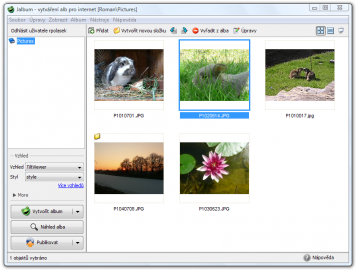 <p>Po výběru fotografií už jsou vidět jejich náhledy</p>