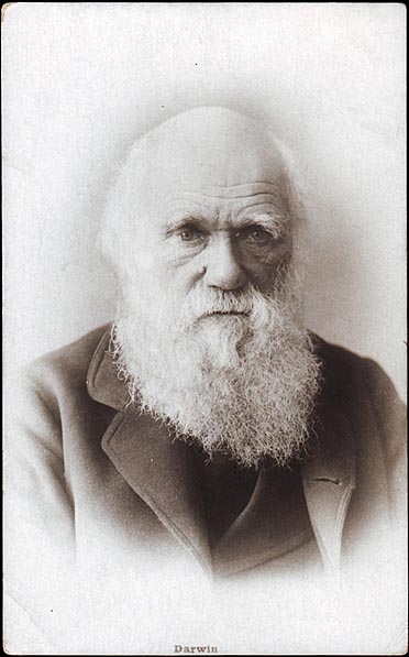 Charles Darwin, britský přírodovědec, zakladatel evoluční biologie