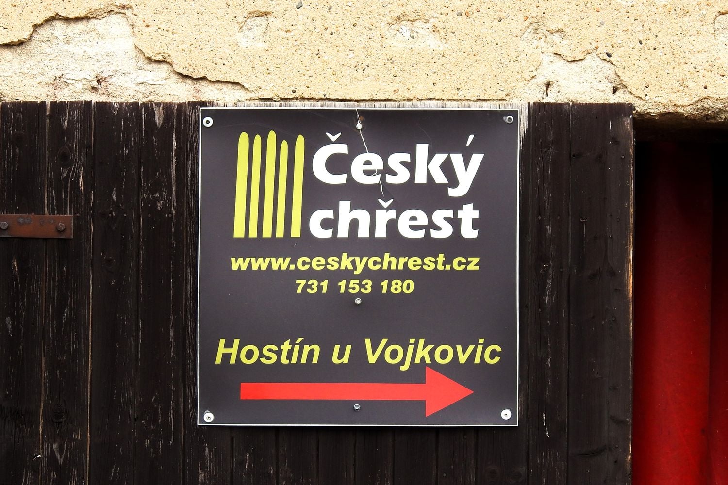 Český chřest