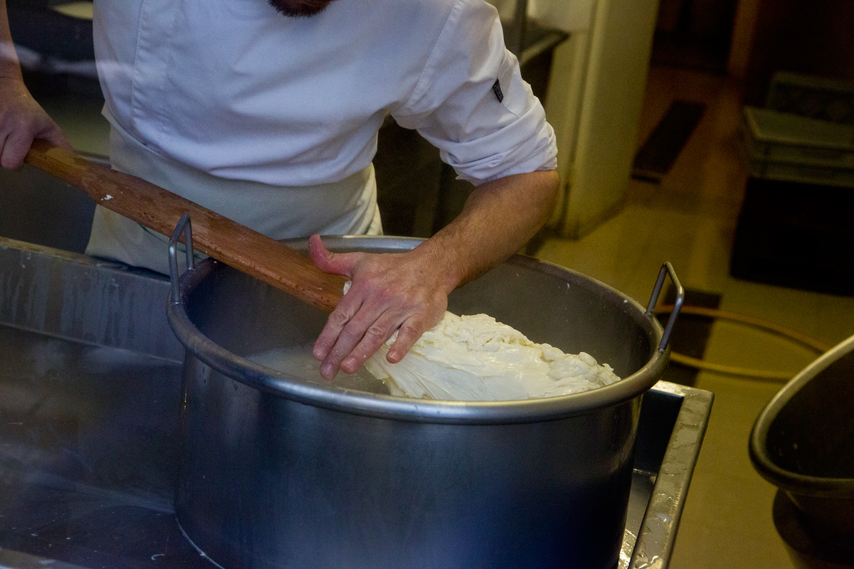 Mozzarellart: Tady vzniká mozzarella