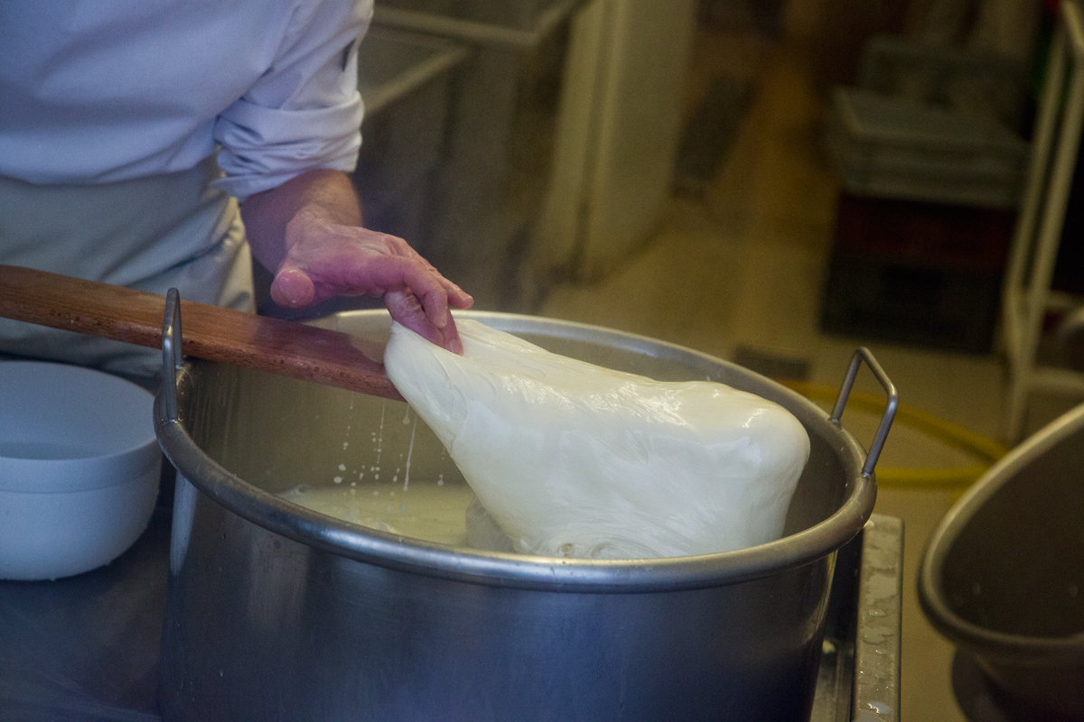 Mozzarellart: Tady vzniká mozzarella