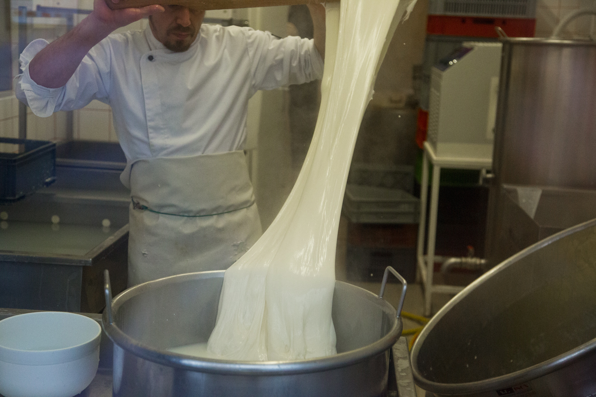 Mozzarellart: Tady vzniká mozzarella