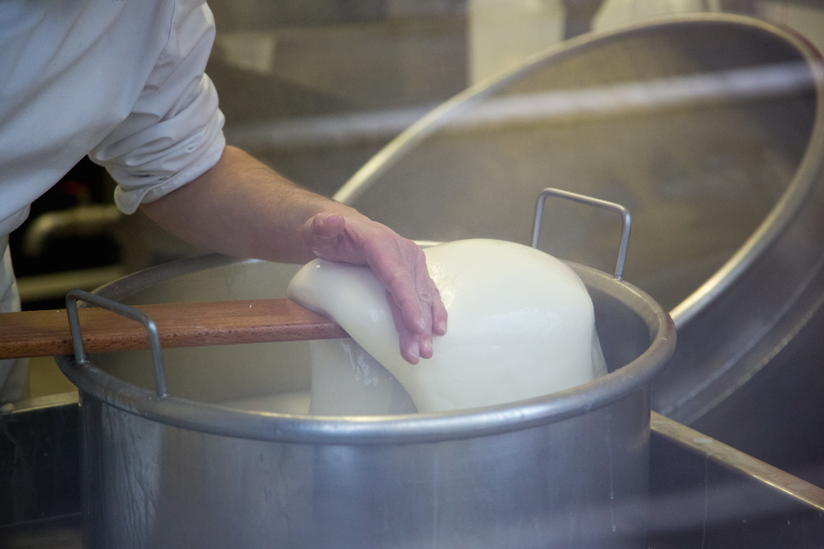 Mozzarellart: Tady vzniká mozzarella