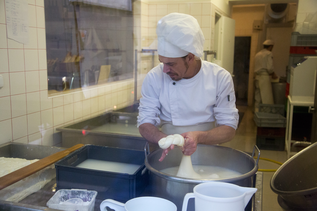 Mozzarellart: Tady vzniká mozzarella