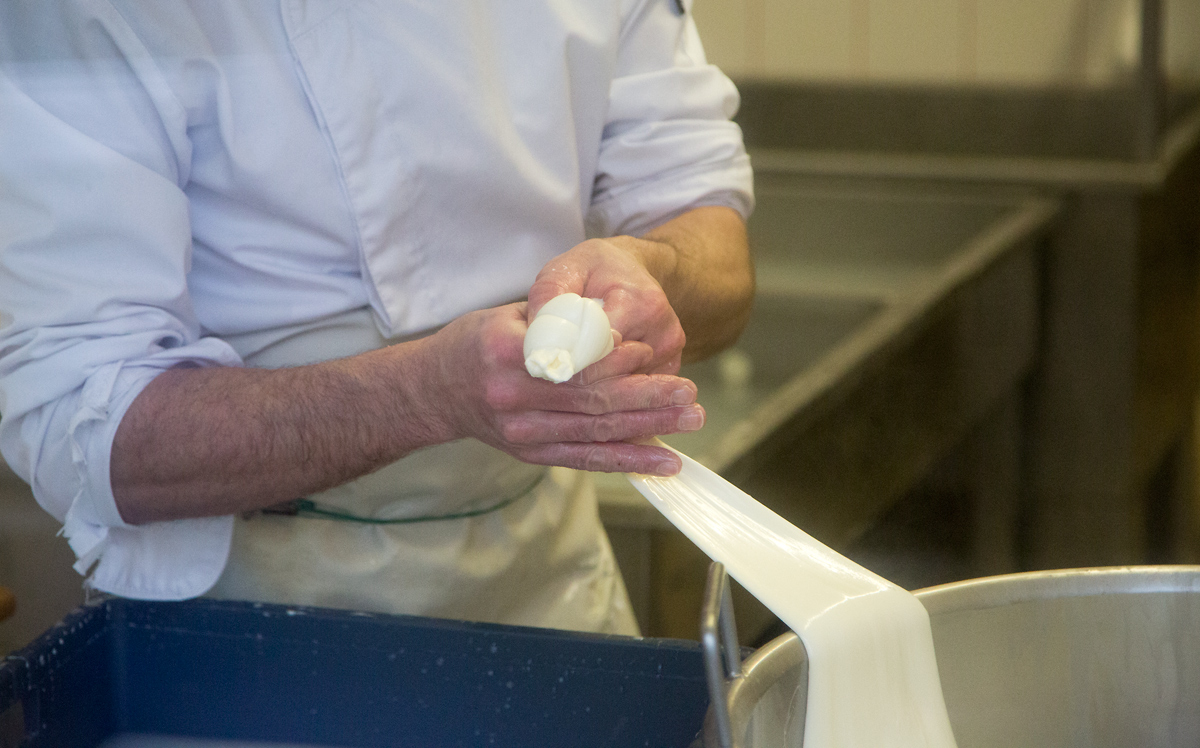 Mozzarellart: Tady vzniká mozzarella