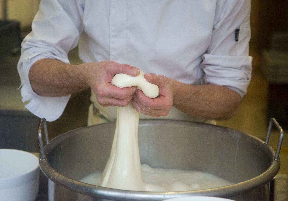 Mozzarellart: Tady vzniká mozzarella