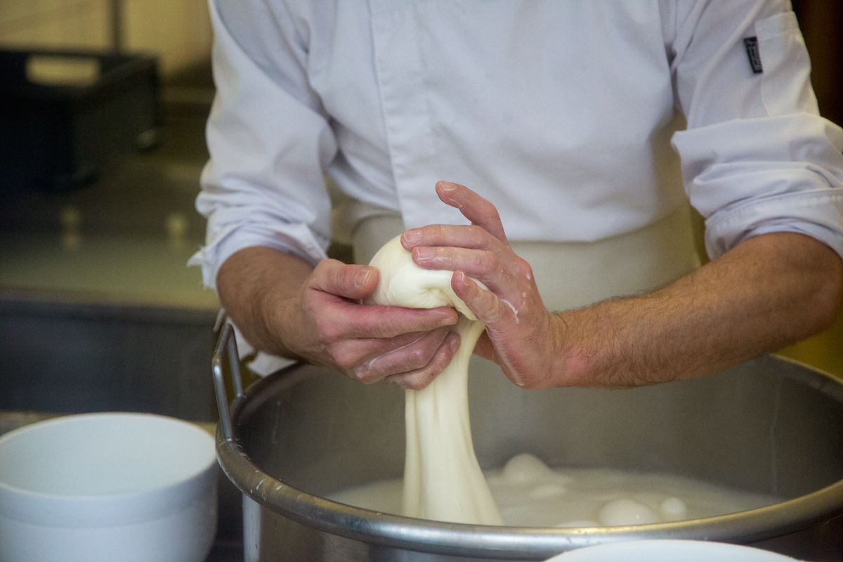 Mozzarellart: Tady vzniká mozzarella