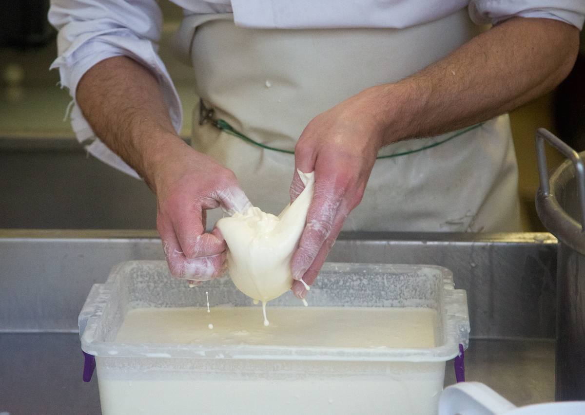 Mozzarellart: Tady vzniká mozzarella