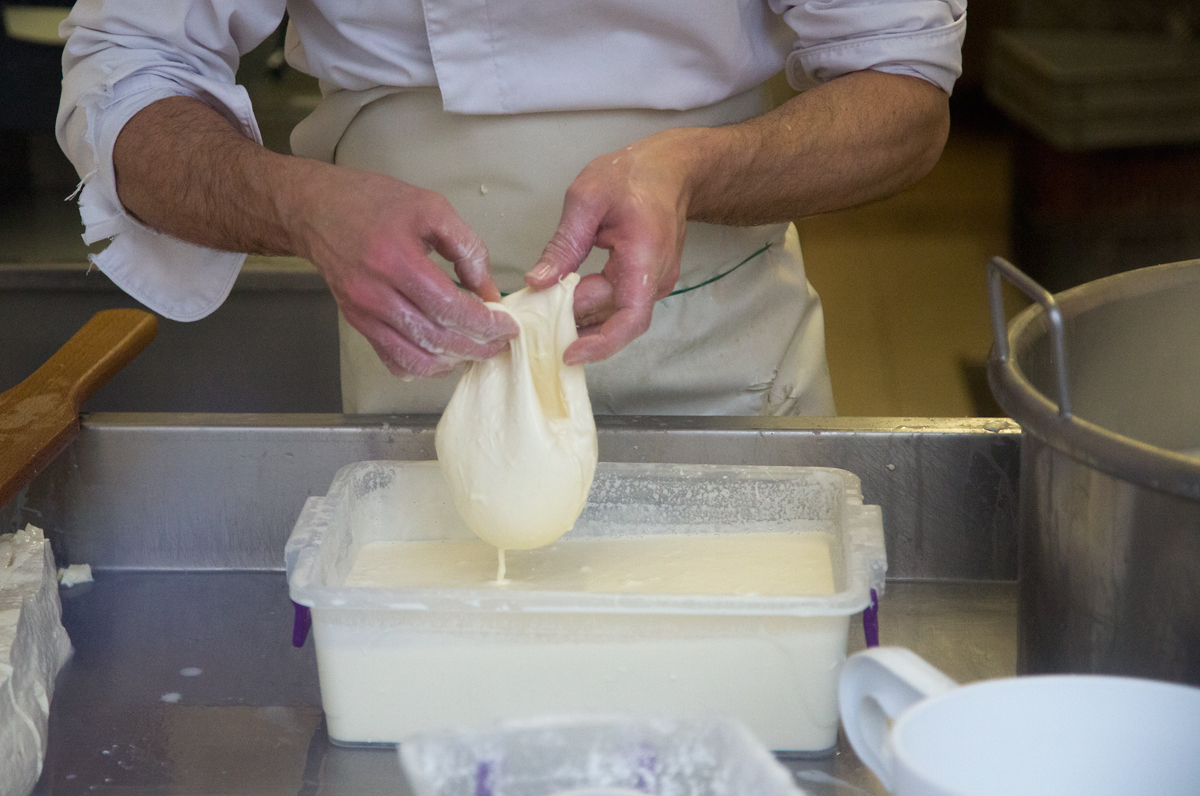 Mozzarellart: Tady vzniká mozzarella