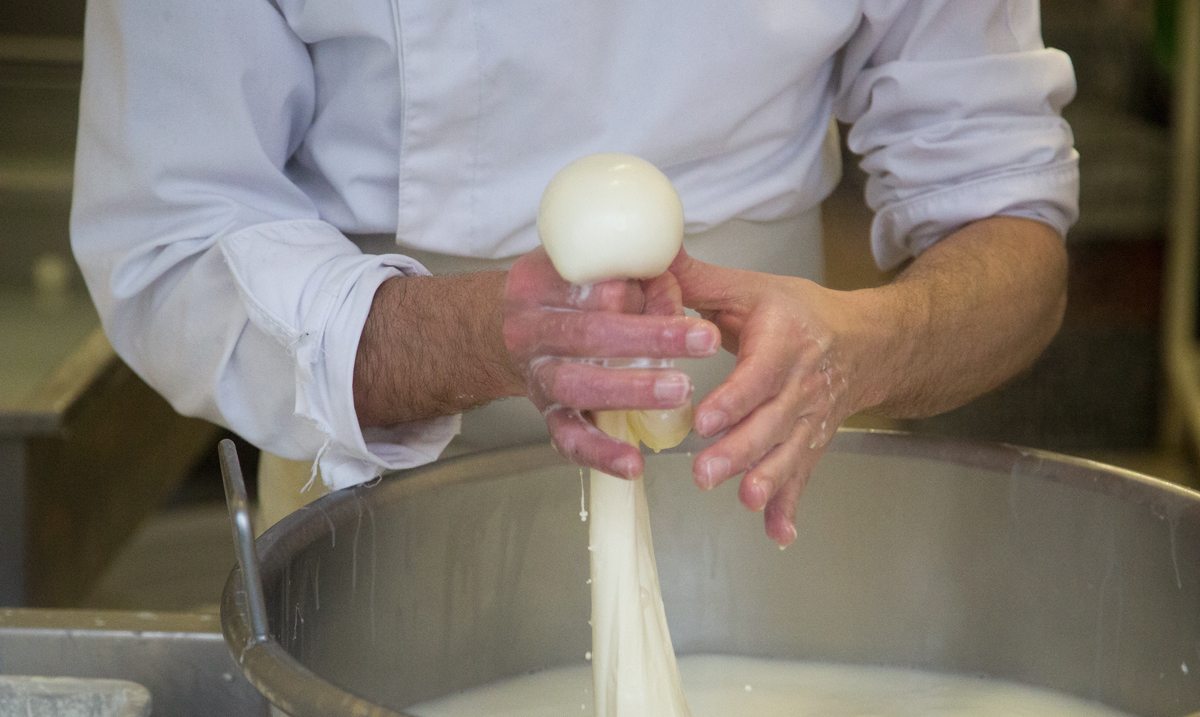 Mozzarellart: Tady vzniká mozzarella