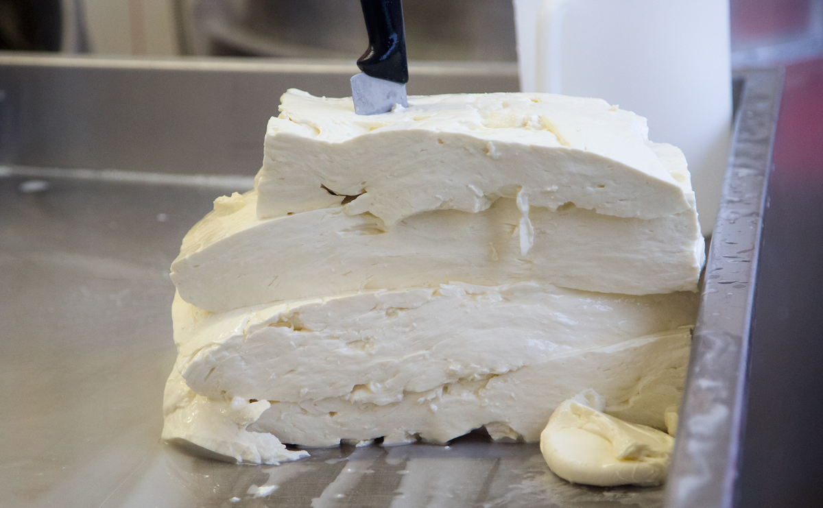 Mozzarellart: Tady vzniká mozzarella