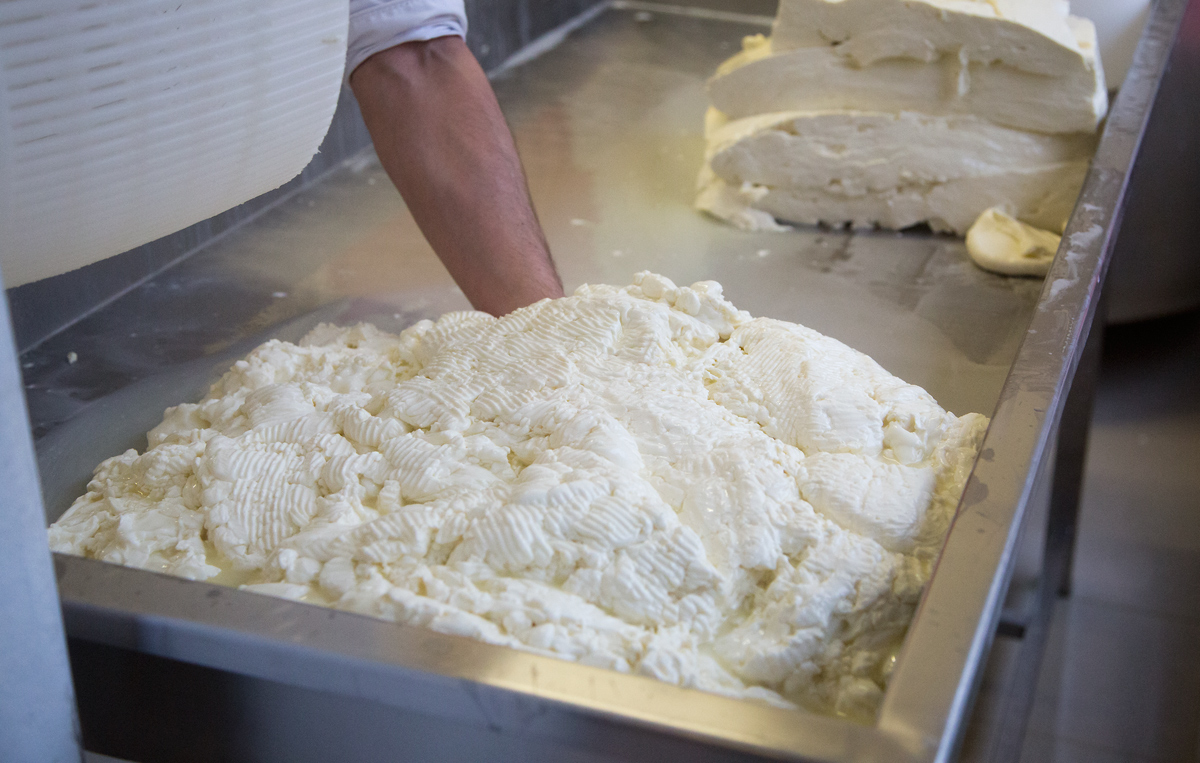 Mozzarellart: Tady vzniká mozzarella
