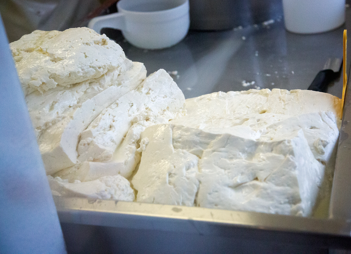 Mozzarellart: Tady vzniká mozzarella