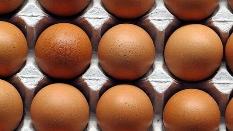 Náhledový obrázek - Nizozemci kvůli insekticidu ve vejcích zatkli dva lidi. Sejdou se ministři