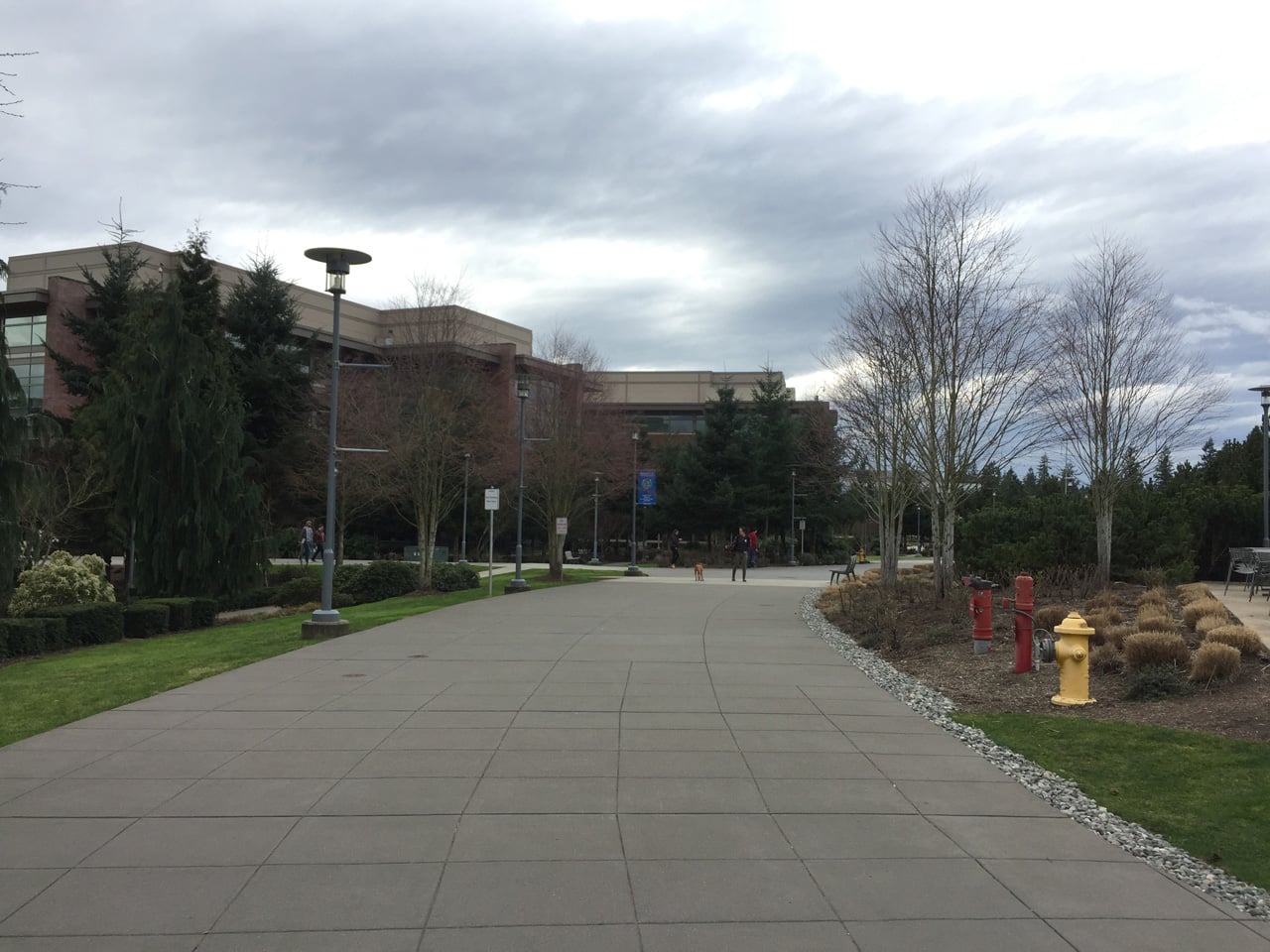 Centrála Microsoftu v Redmondu poblíž Seattlu