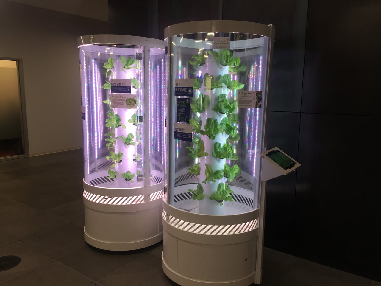 Centrála Microsoftu v Redmondu poblíž Seattlu