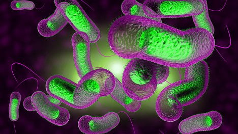 Lidé věřili, že cholera se přenáší vzduchem, nikoli špinavou vodou. Nákazu šířila i studna