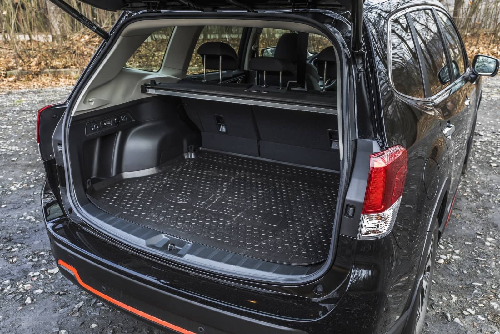 2020-04-aDMB2020_Forester-e-boxer-A7-6635.jpg