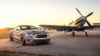 Náhledový obrázek - Ford Mustang Eagle Squadron už má nového majitele. Zaplatil za něj skoro 10 milionů