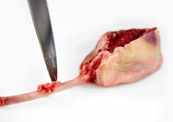 2019-03-hc599bet-ze-c5a1umavskc3a9ho-jehnc49bc48dc3adho-s-plnc49