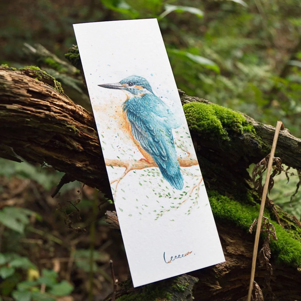 Záložka Ledňáček