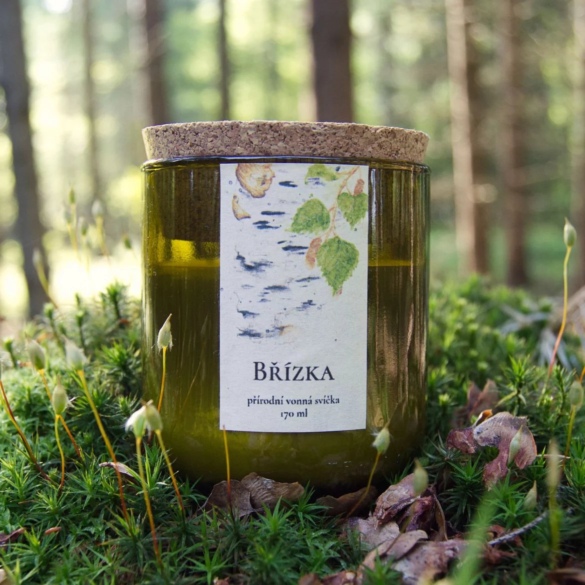 Svíčka Břízka