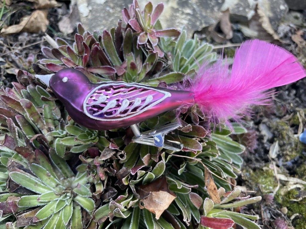 Ptáček z jarní kolekce