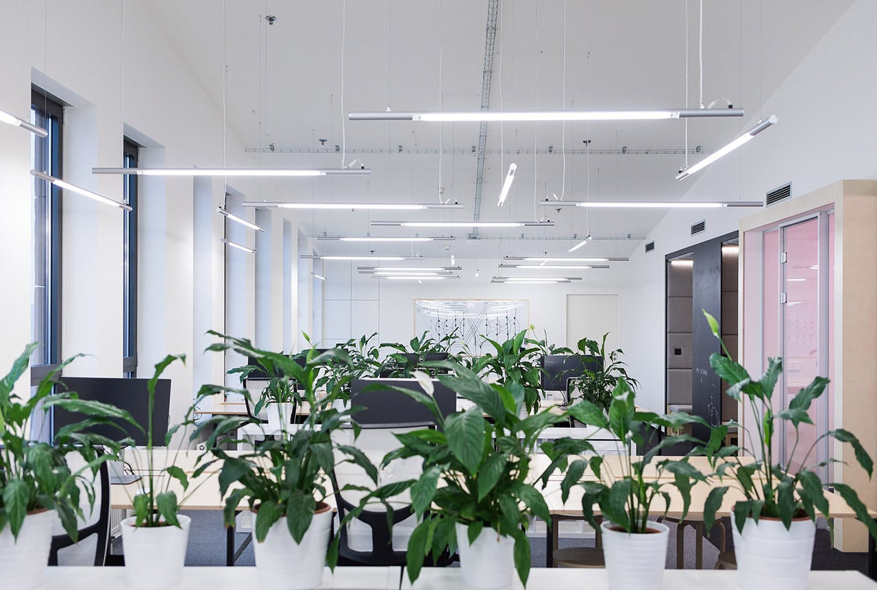 Kanceláře vývojářů Ackee v pražském Karlíně