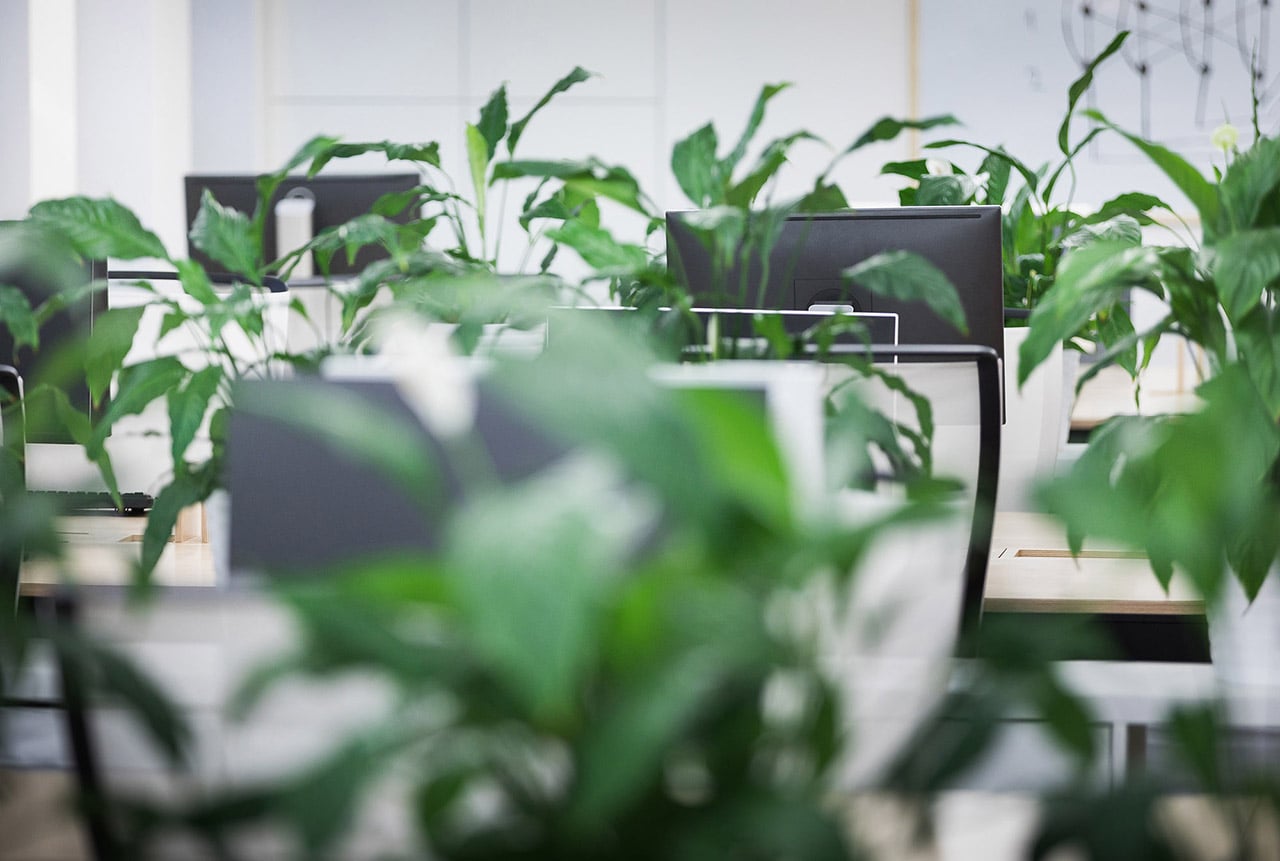 Kanceláře vývojářů Ackee v pražském Karlíně