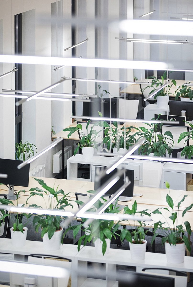 Kanceláře vývojářů Ackee v pražském Karlíně