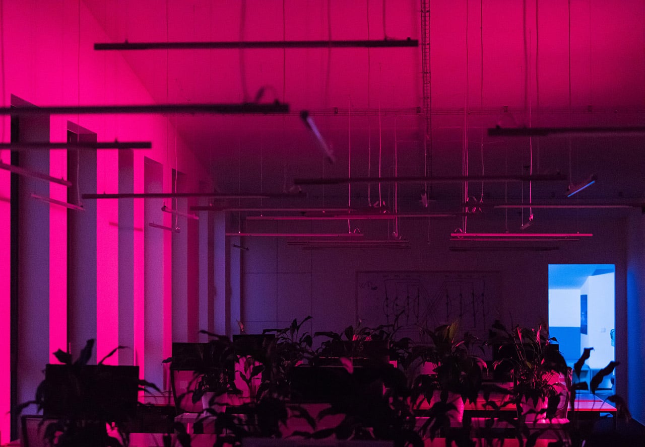 Kanceláře vývojářů Ackee v pražském Karlíně