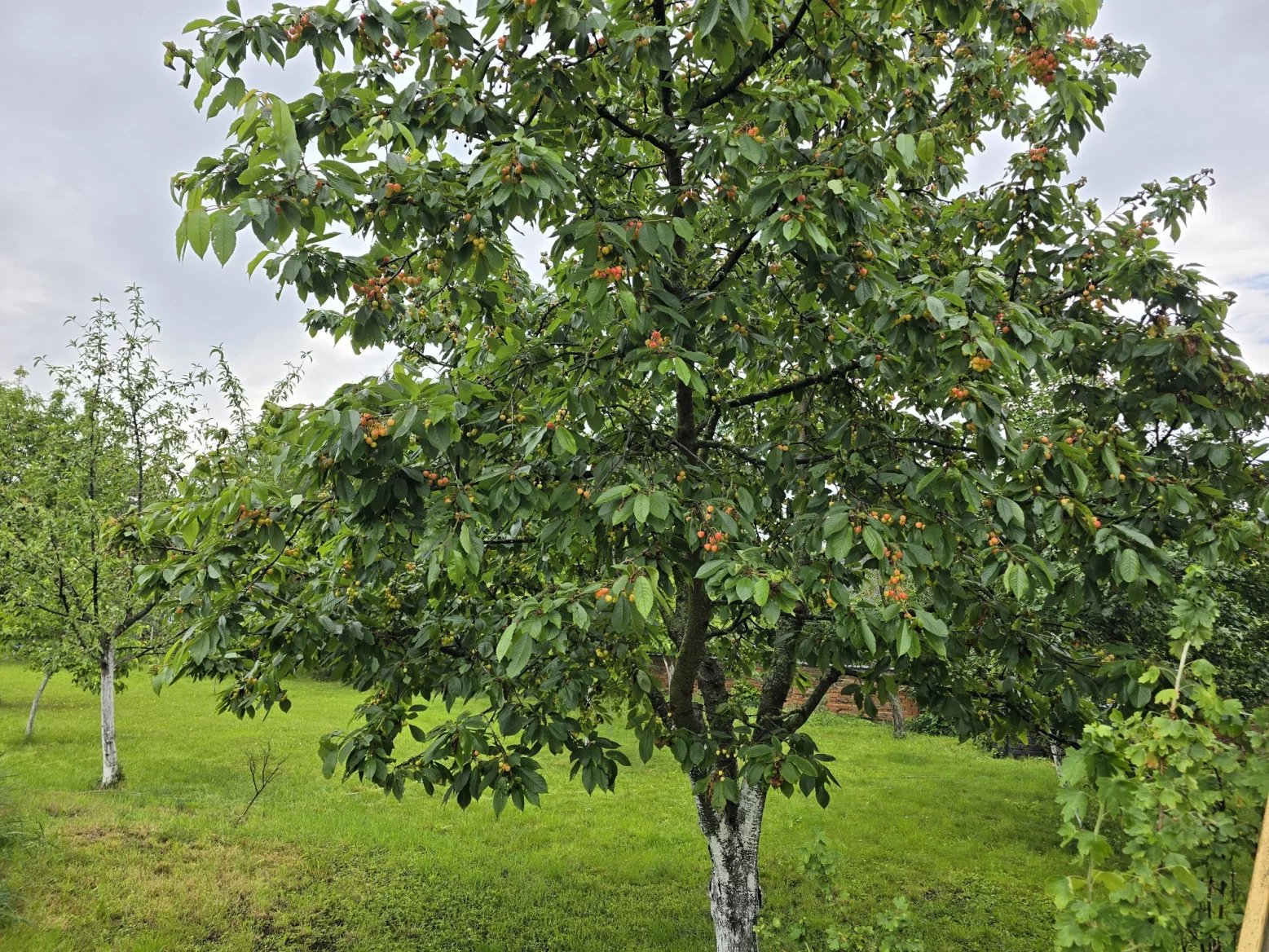 Hlavní 200Mpx fotoaparát