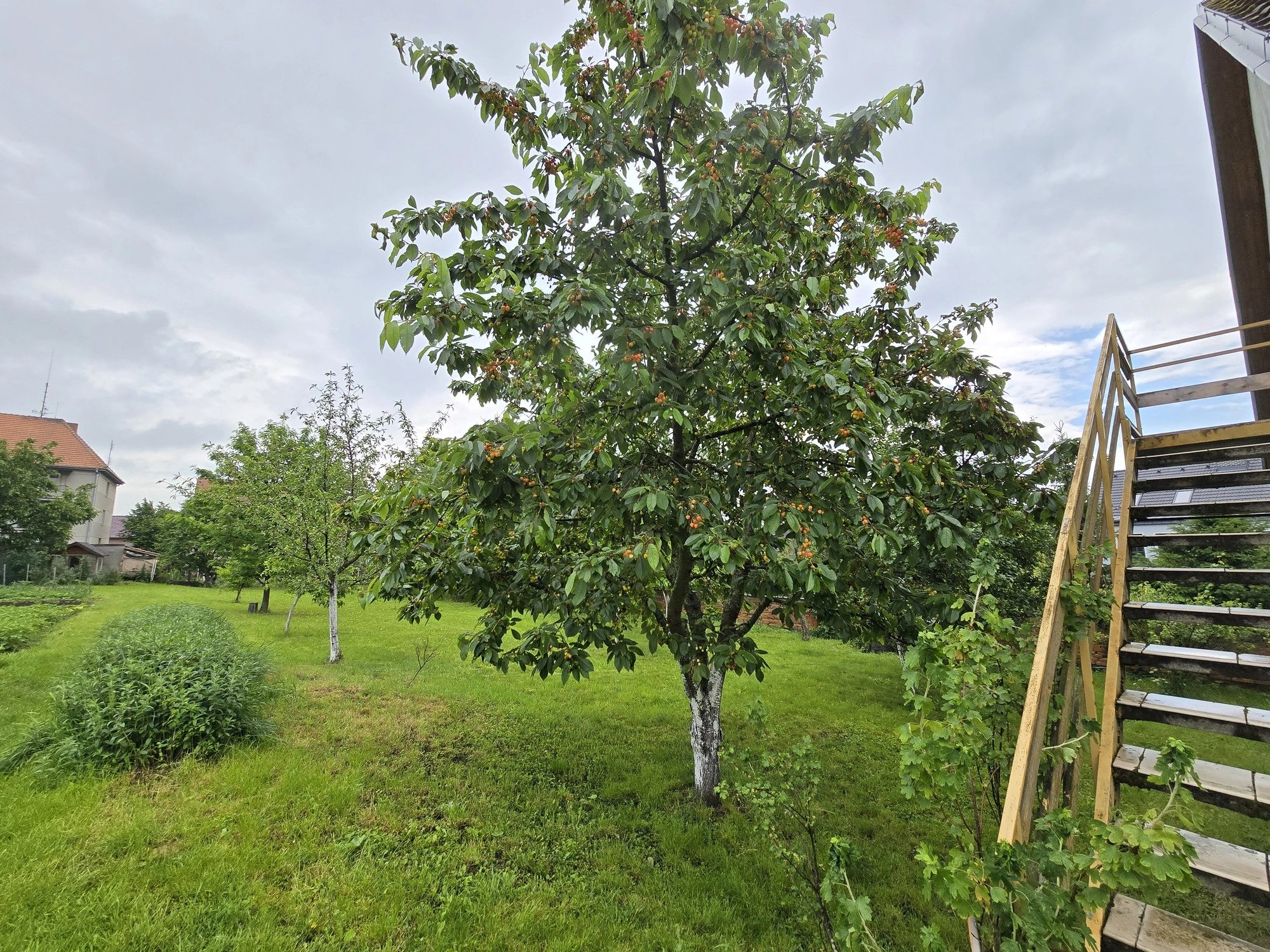 Ultraširokoúhlý 12Mpx fotoaparát