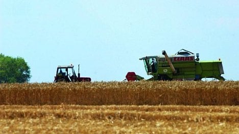 Náhledový obrázek - Obilovin sklidili zemědělci o desetinu více. Brambor je víc o 3,5 procenta