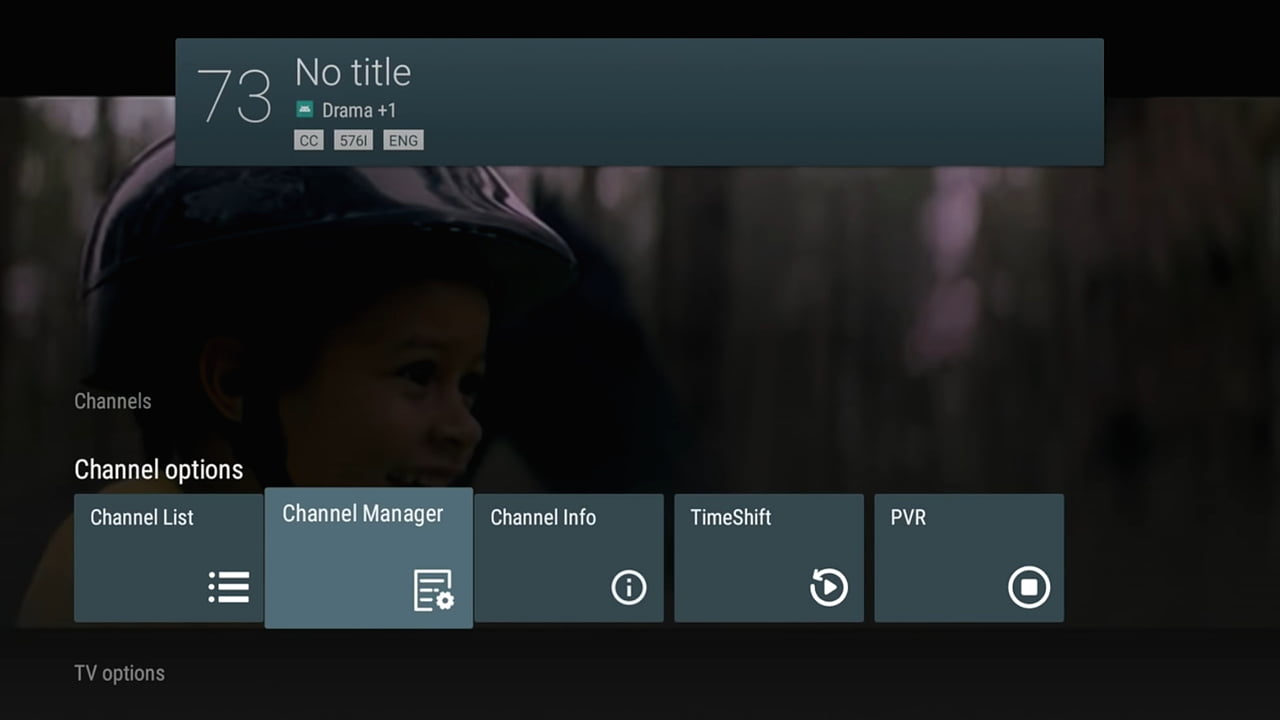 Videostrong – prostředí pro příjem DVB vysílání