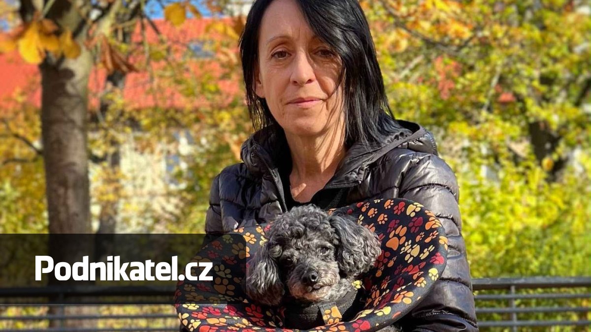 Konec trápení psů a koček: Petra šije pro marody pohodlné látkové límce na míru