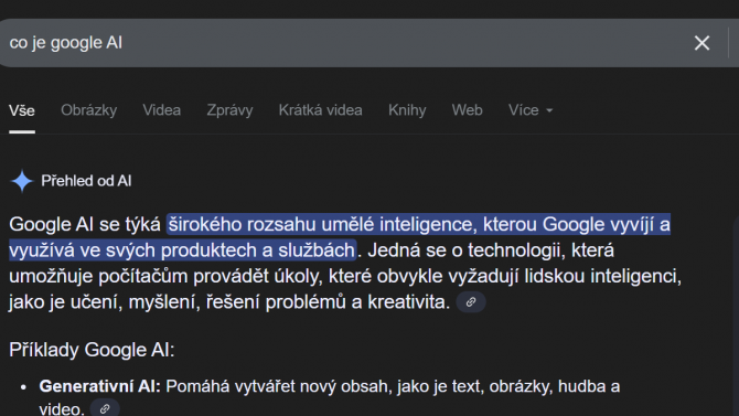 webová stránka