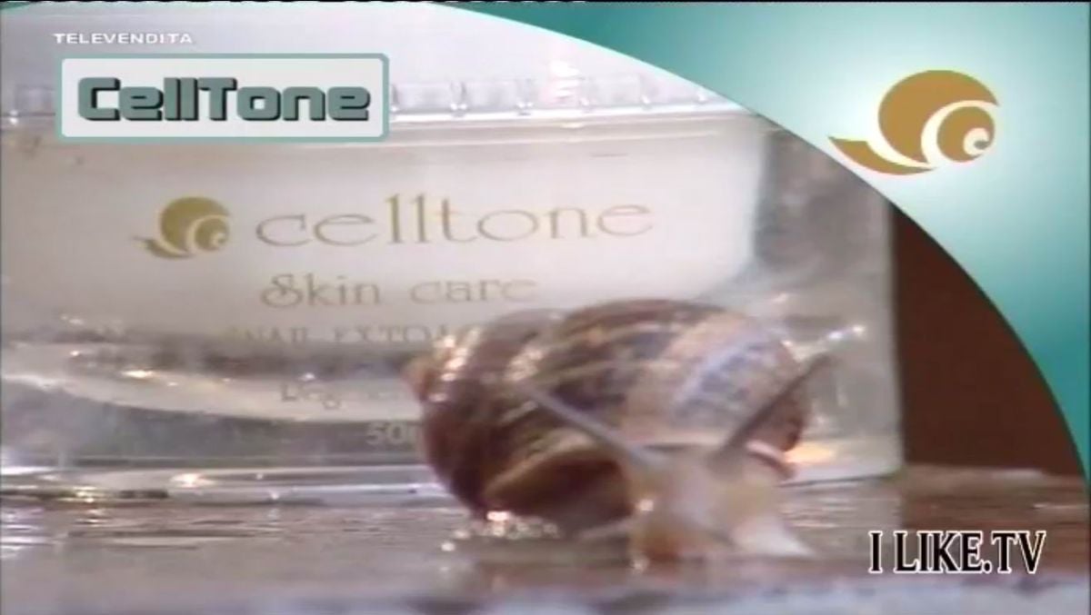 Nové hvězdy na satelitním nebi 9. až 12. listopadu