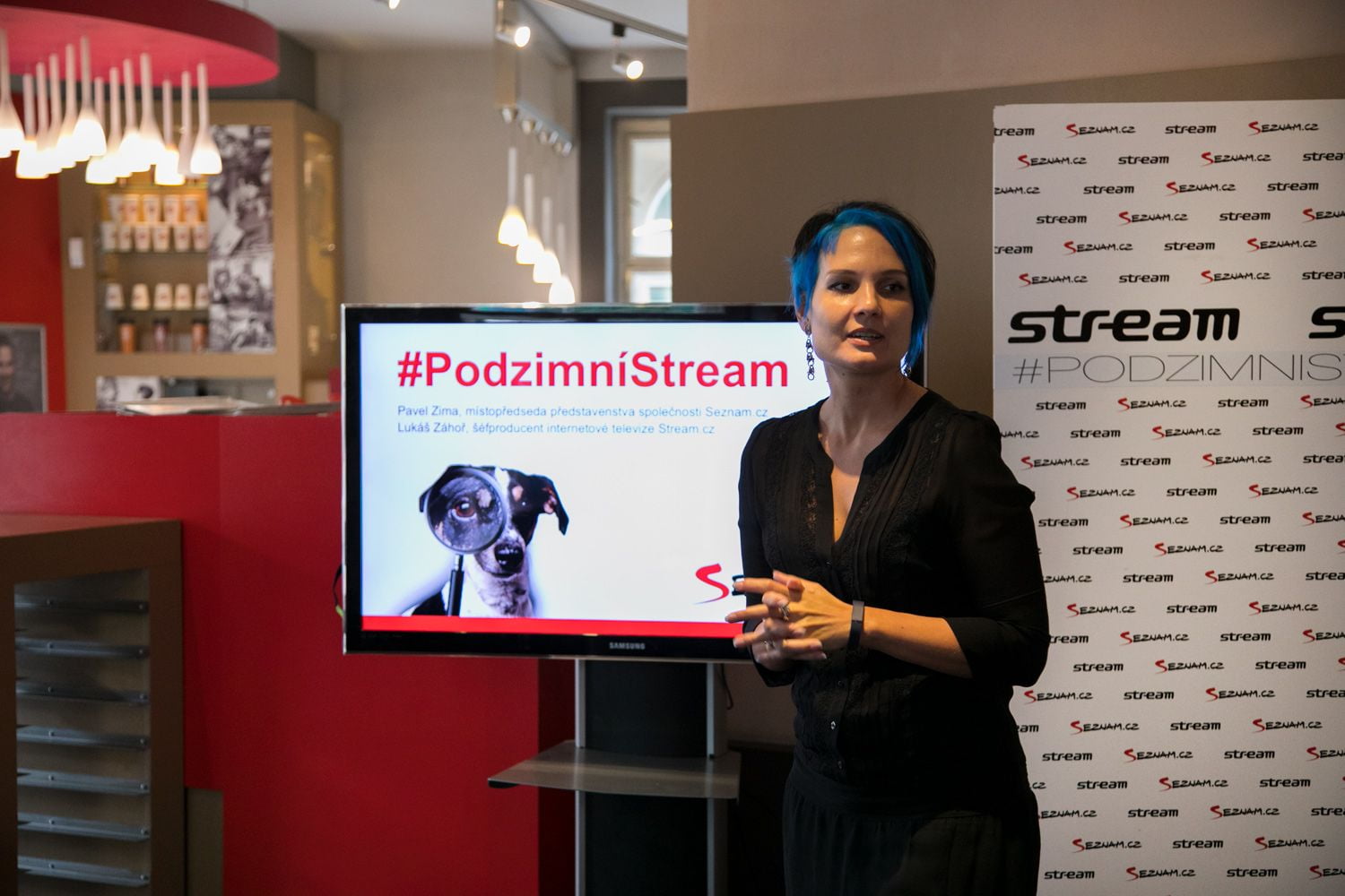 Stream.cz - schéma podzim 2017